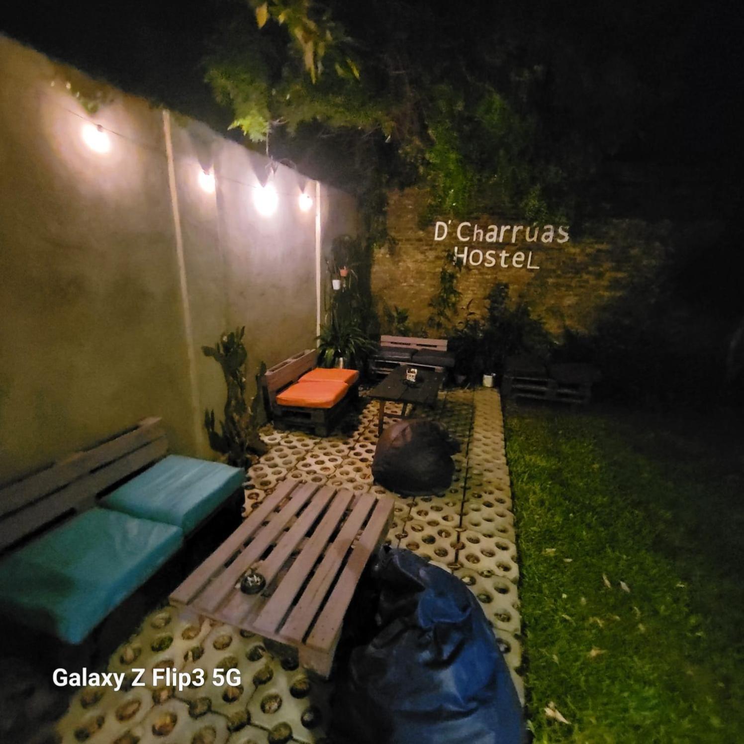 Dch Hostel Backpaquers 康科迪亚 外观 照片